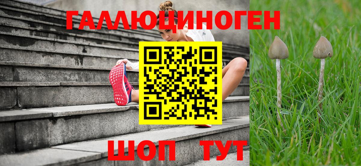 Комсомольск-на-Амуре  Галлюциногенные грибы ЛСД  Вход с VPN  Галлюциногенные грибы мухоморы 