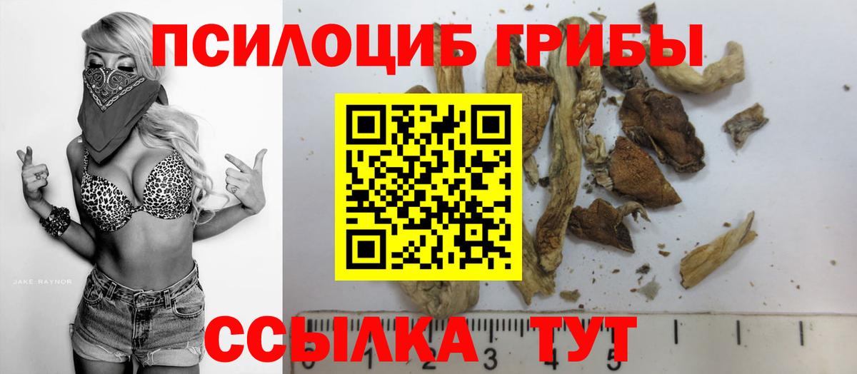 Галлюциногенные грибы Psilocybine cubensis Комсомольск-на-Амуре